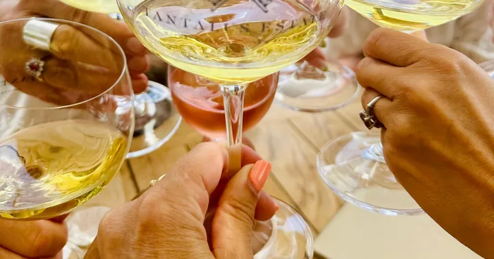 Waiheke Island Wineries’ Tour