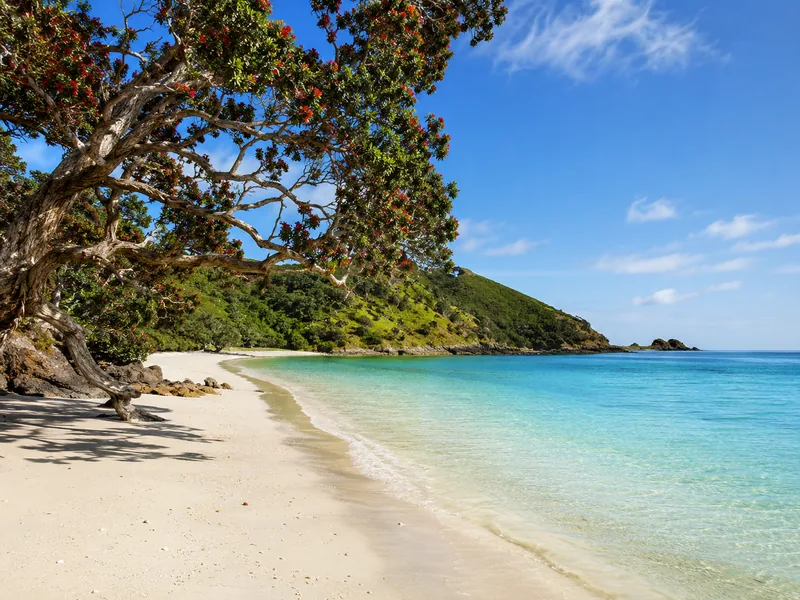 Waiheke beaches