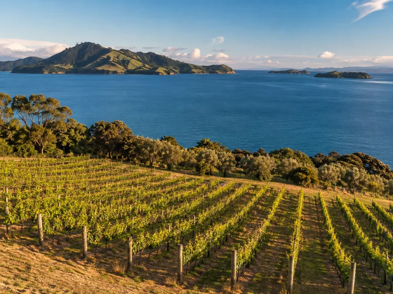 Is Waiheke worth it?